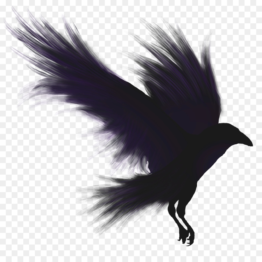Bird Flight Common raven American crow - raven png download - 1024*1024 - Free Transparent Bird png Download.