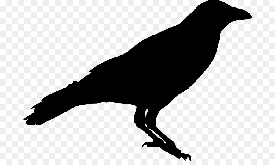 American crow Silhouette Raven Stencil - crow png download - 749*528 - Free Transparent American Crow png Download.