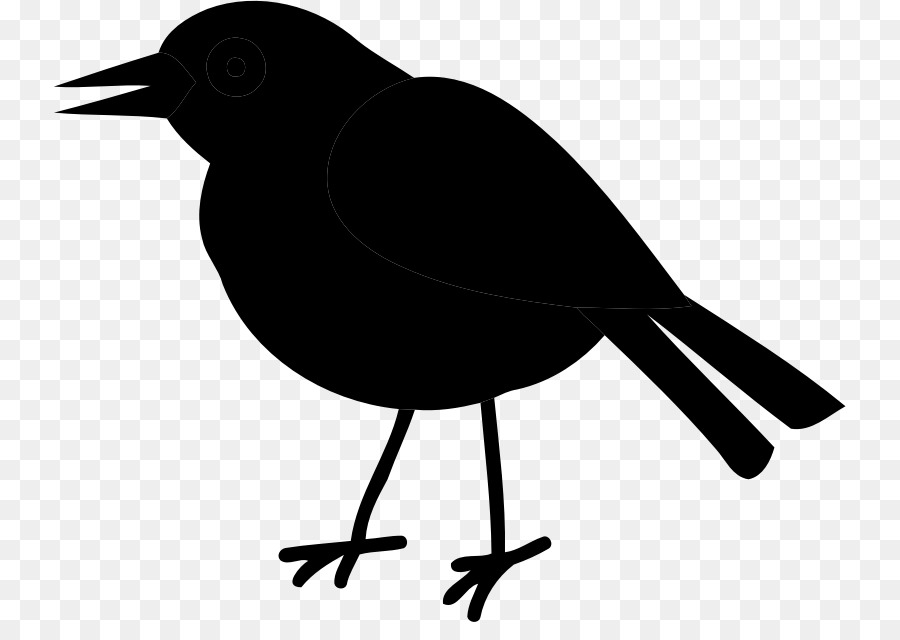 American crow Clip art Common raven Fauna Silhouette -  png download - 793*622 - Free Transparent American Crow png Download.
