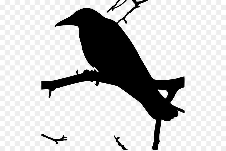 The Raven Common raven Clip art - others png download - 570*596 - Free Transparent Raven png Download.