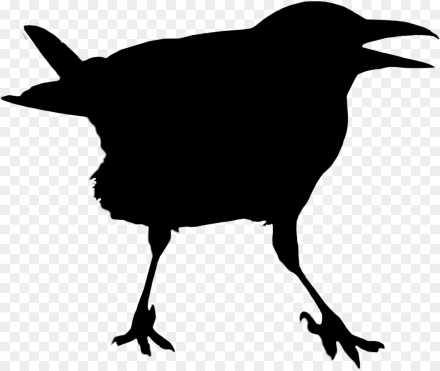 American crow Common raven Clip art -  png download - 910*765 - Free Transparent American Crow png Download.