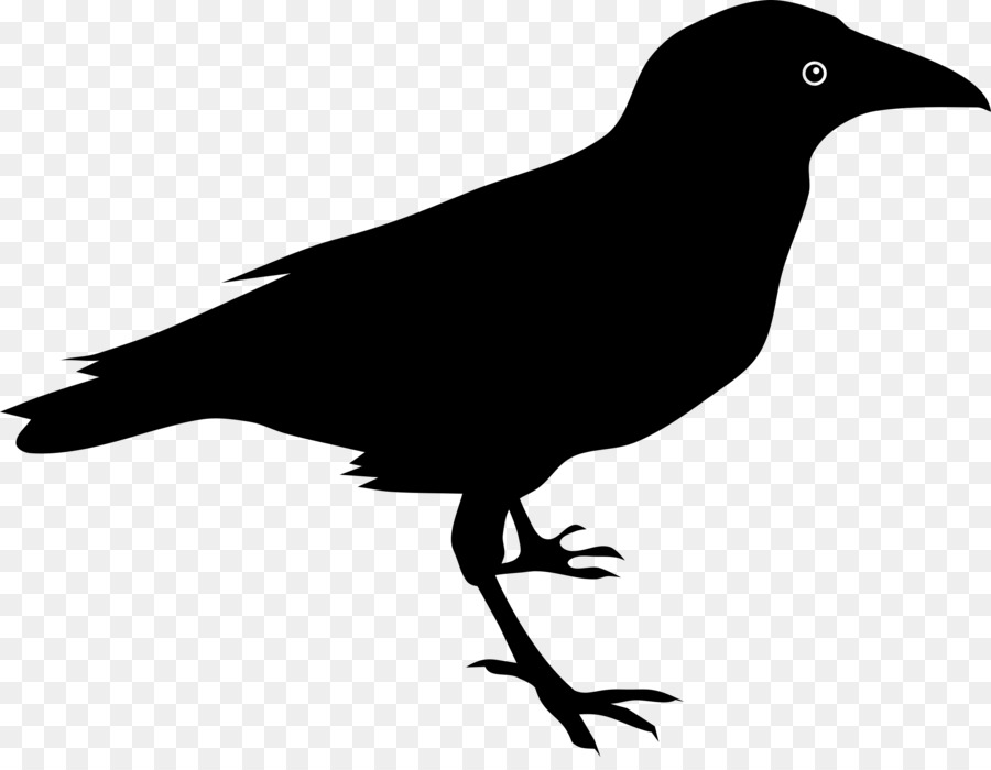 The Raven Common raven Clip art - raven png download - 2400*1834 - Free Transparent Raven png Download.