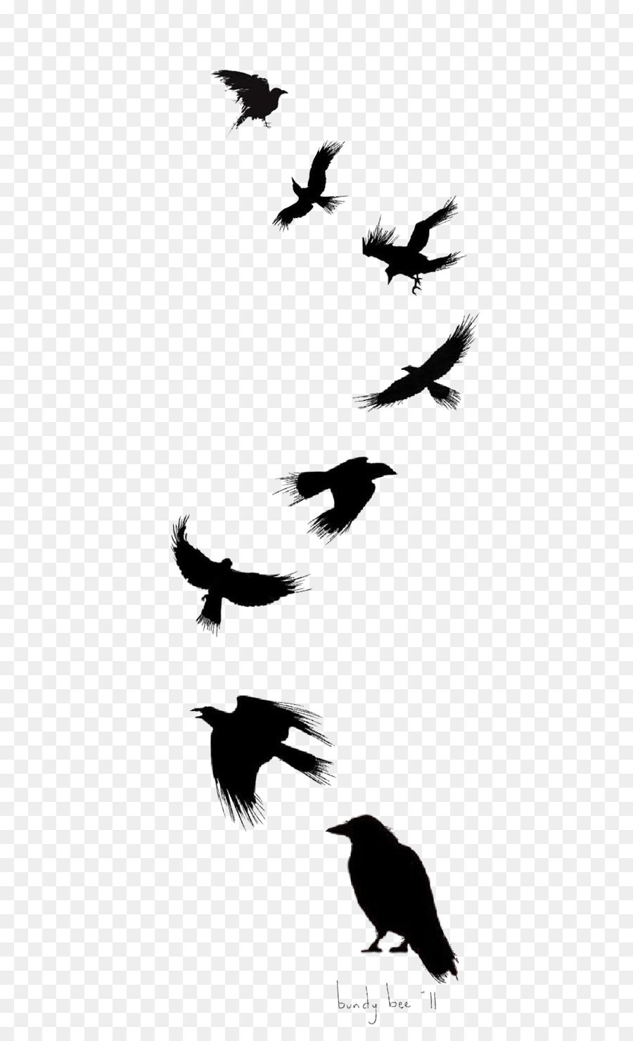 Common raven Bird Tattoo Drawing Flight - Ink Crow png download - 564*1462 - Free Transparent Common Raven png Download.
