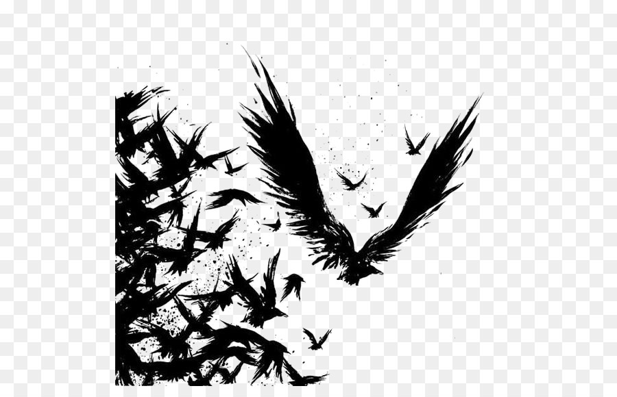 Common raven Tattoo Drawing Odin - crow png download - 564*564 - Free Transparent Common Raven png Download.