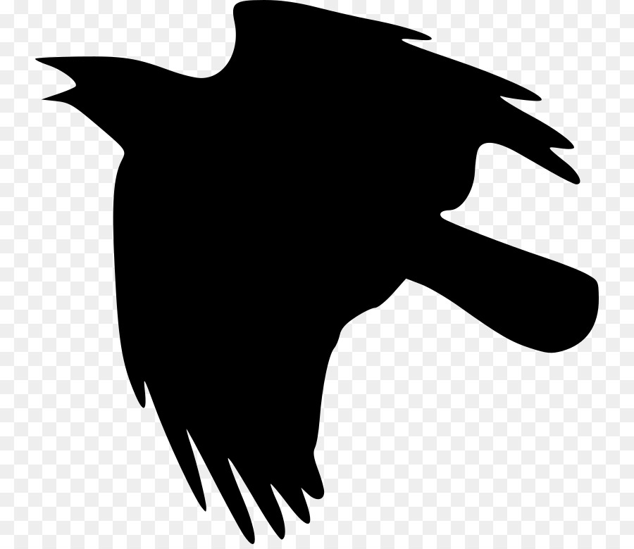 Crow Clip art - flying ravens png download - 800*773 - Free Transparent Crow png Download.
