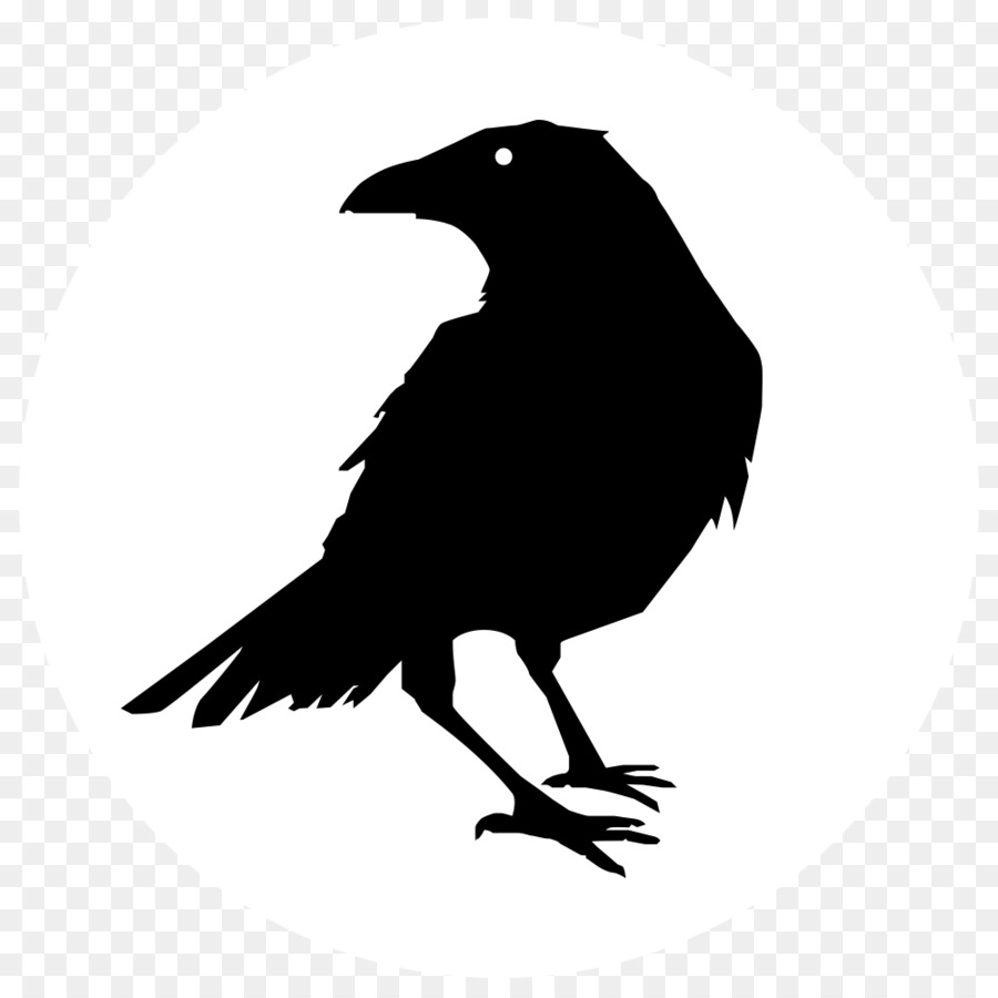 The Raven Crow Common raven Clip art - crow png download - 1000*1000 - Free Transparent Raven png Download.