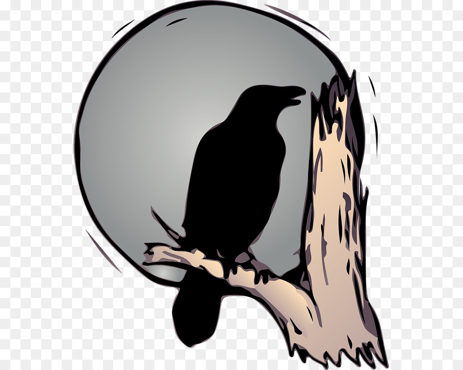 Bird Common raven American crow Drawing - raven png download - 613*720 - Free Transparent Bird png Download.