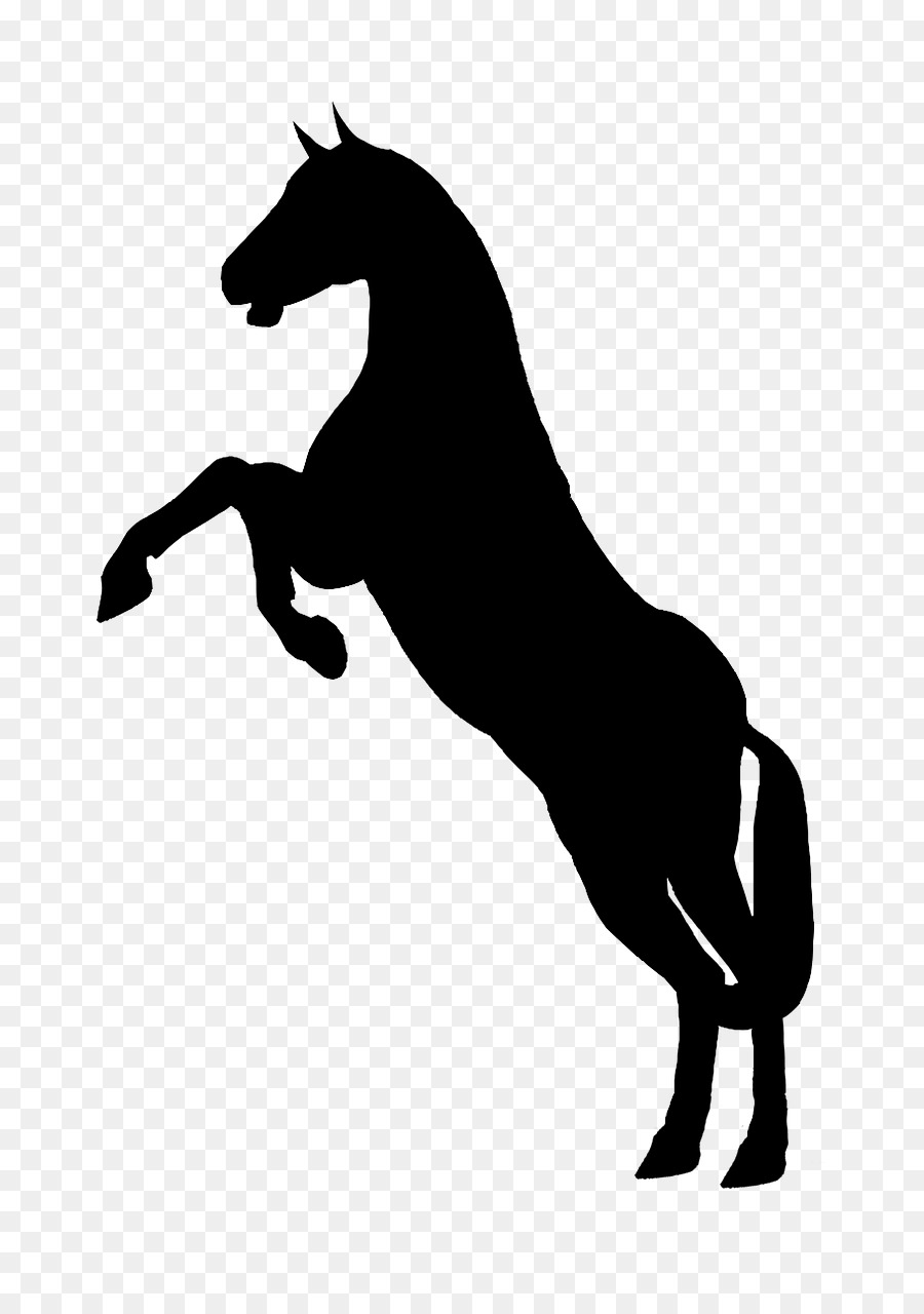 Horse Stallion Rearing Clip art - horse png download - 720*1280 - Free Transparent Horse png Download.
