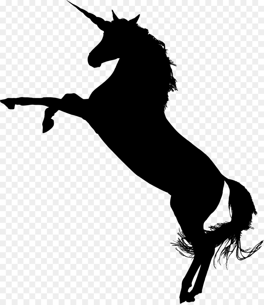 American Quarter Horse Standing Horse Rearing Clip art - silhouettes png download - 1966*2262 - Free Transparent American Quarter Horse png Download.