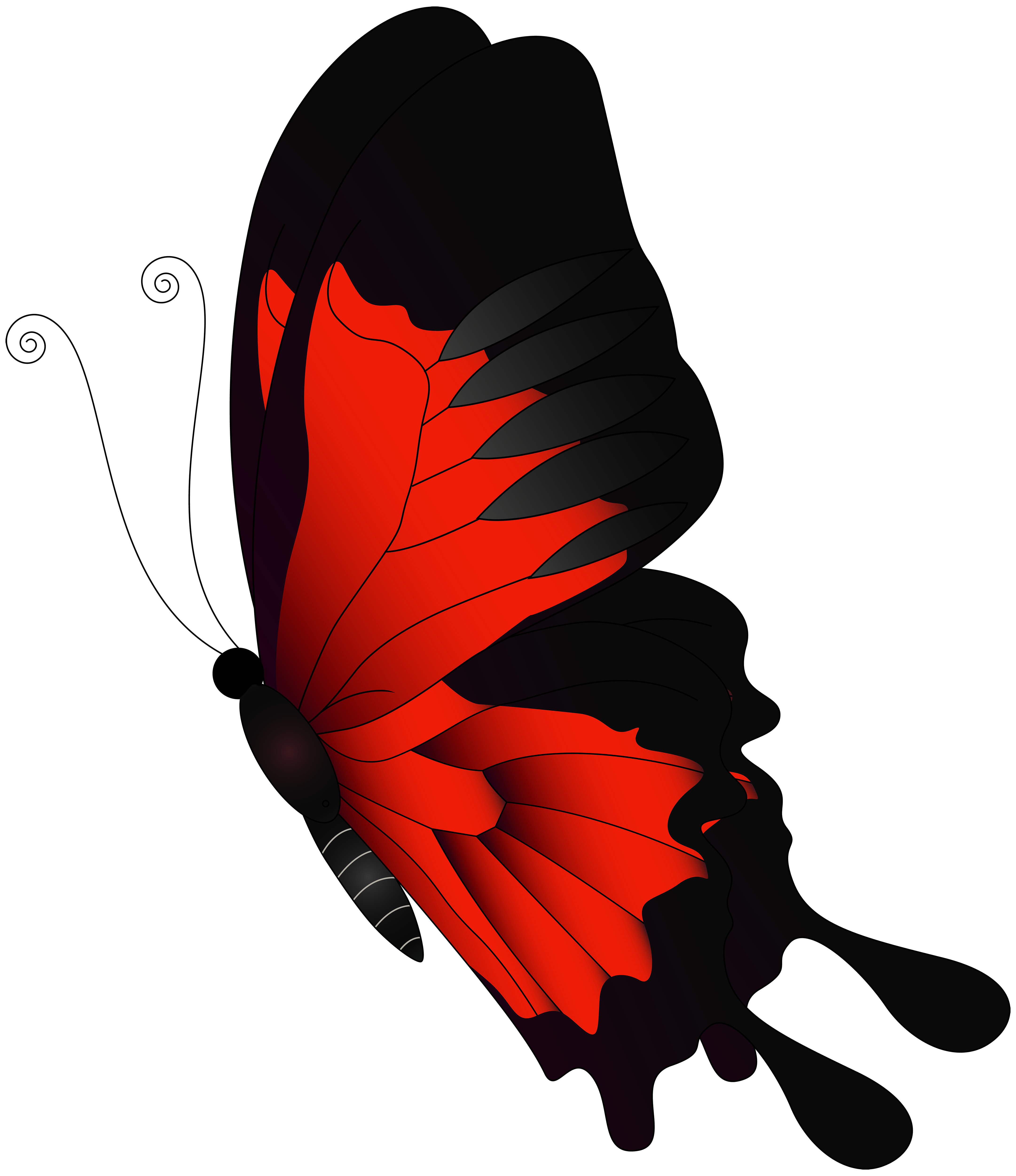 Featured image of post Red Glow Butterfly Png There is no psd format for butterfly png free butterflies png clipart images in our system