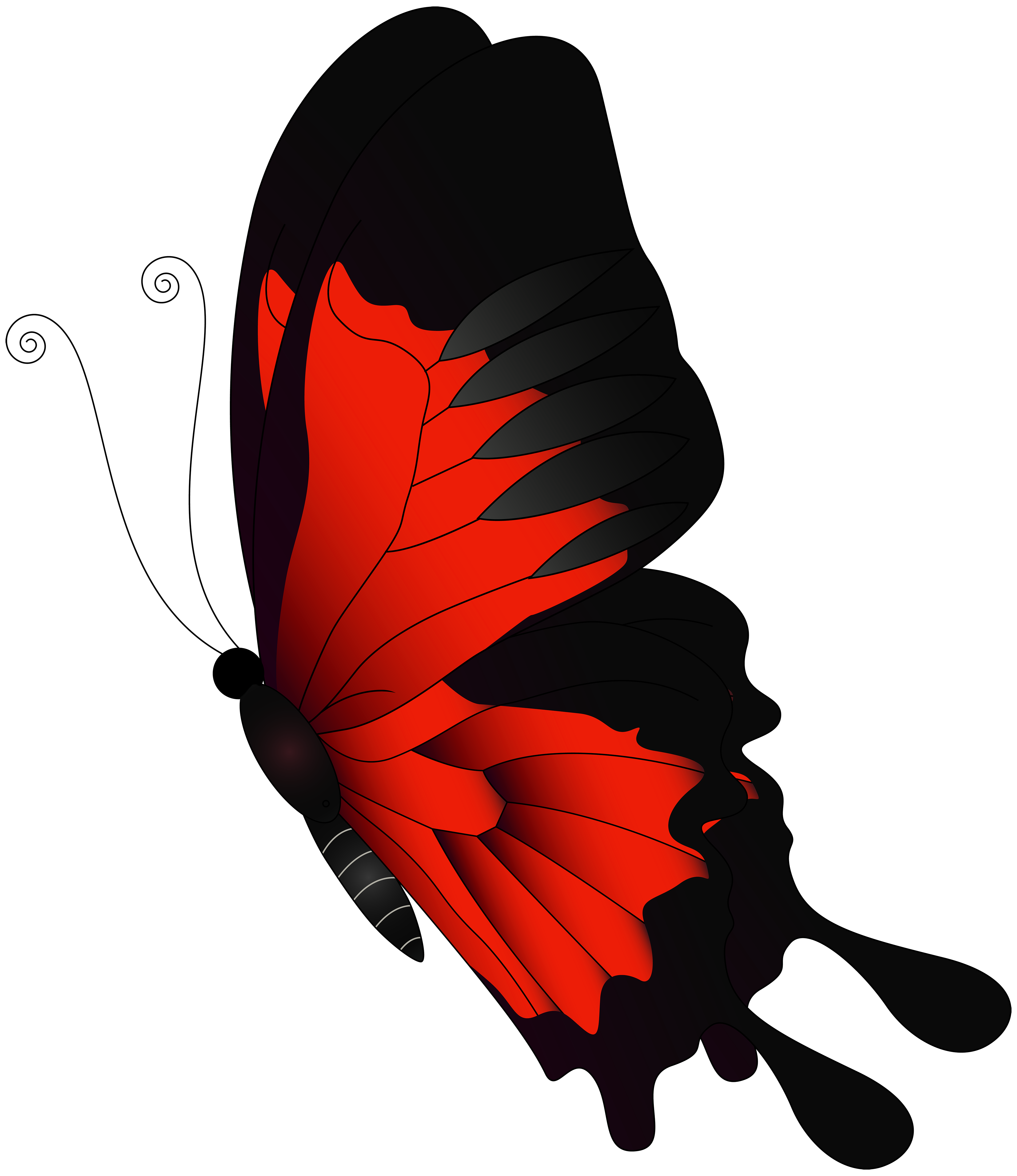 15 Glowing Butterfly Png Hd Download