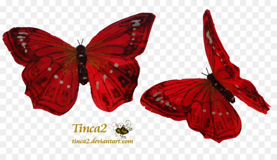 Butterfly Red Greta oto Clip art - red butterfly png download - 1024*576 - Free Transparent Butterfly png Download.