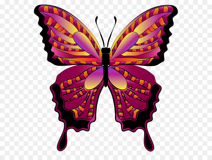Butterfly Clip art - Red Butterfly Clipart Image png download - 5647*5768 - Free Transparent Butterfly png Download.