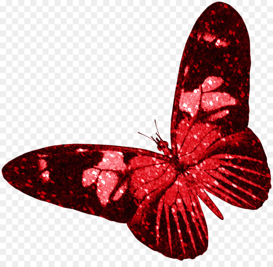 Butterfly Insect Red - red butterfly png download - 1464*1405 - Free Transparent Butterfly png Download.