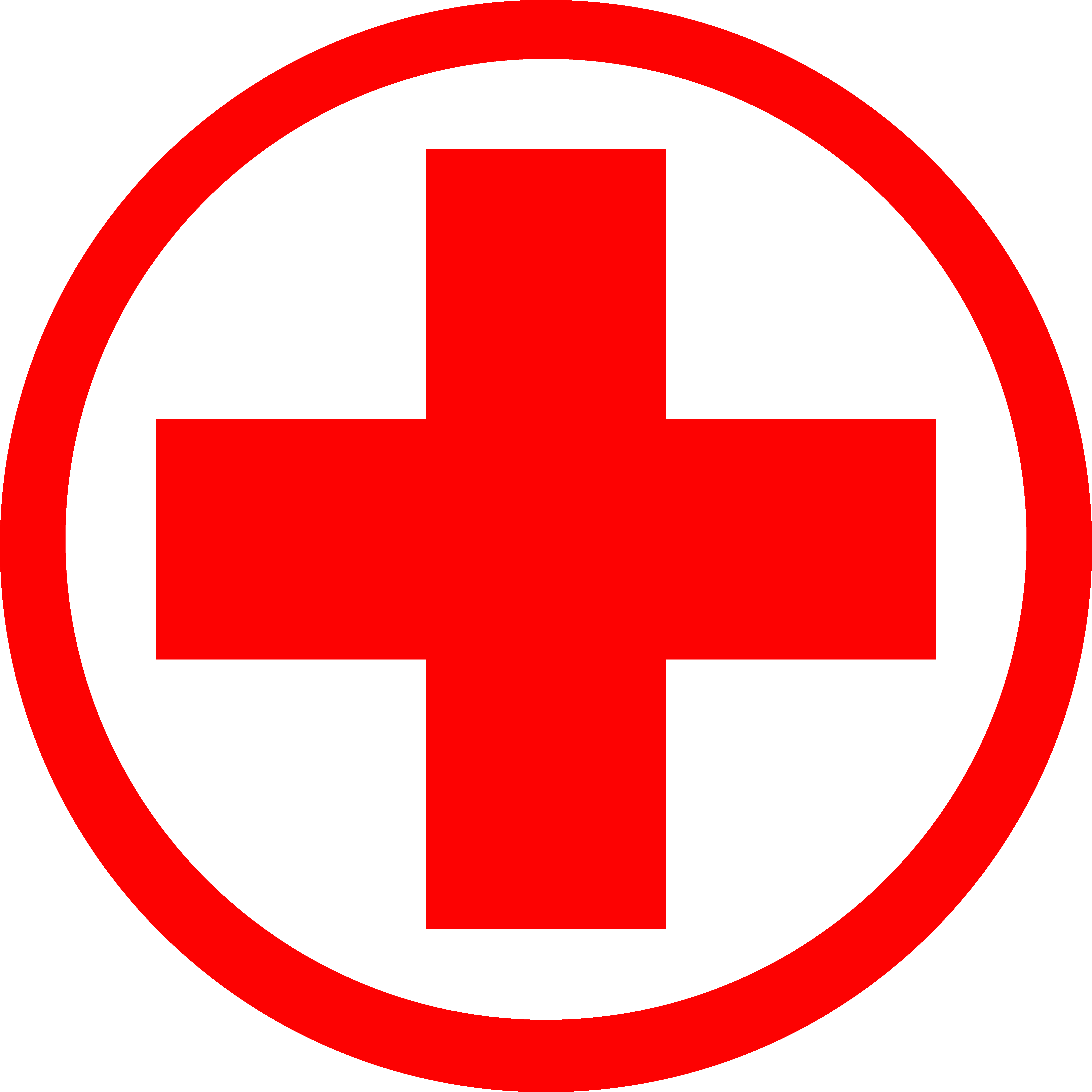 American Red Cross International Committee Of The Red Cross
