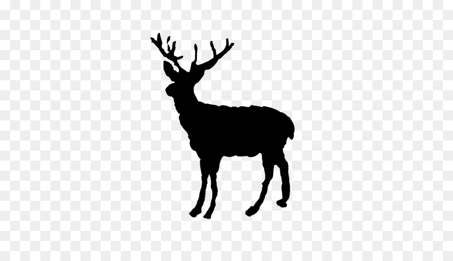 Reindeer Red deer Elk Christmas - deer png download - 567*510 - Free Transparent Reindeer png Download.