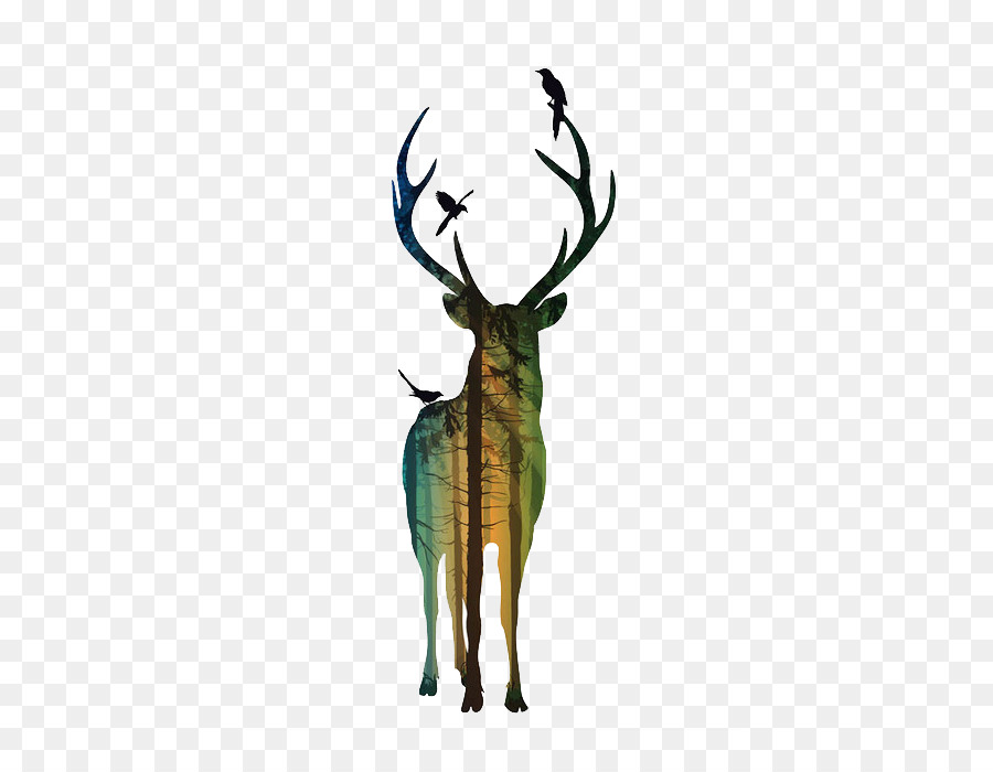 Red deer Silhouette Antler Poster - deer png download - 700*700 - Free Transparent Deer png Download.