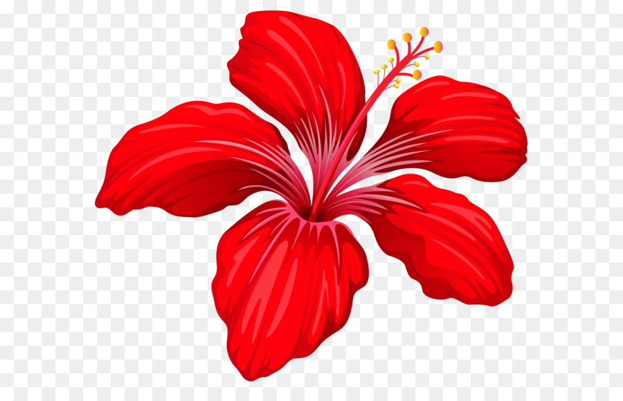 Flower Red Clip art - Exotic Red Flower PNG Image png download - 5165*4496 - Free Transparent Flower png Download.