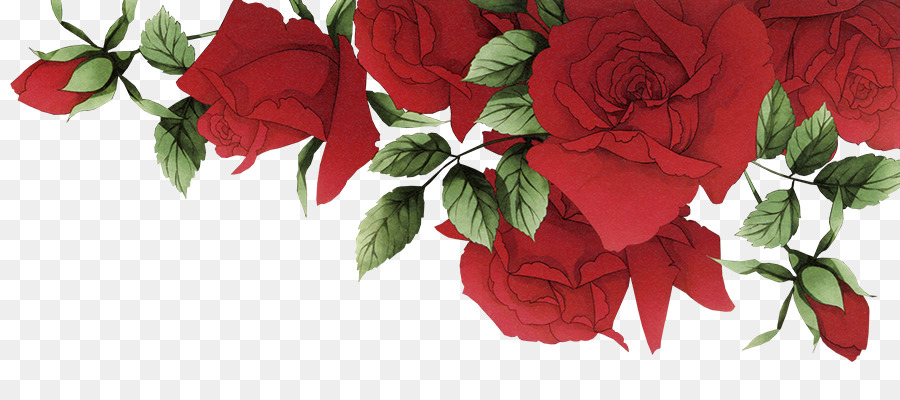 Garden roses Beach rose Red Flower - Romantic red roses border png download - 900*400 - Free Transparent Garden Roses png Download.