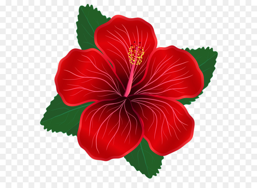 Flower Red Clip art - Red Flower PNG Clipart Image png download - 7395*7300 - Free Transparent Flower png Download.