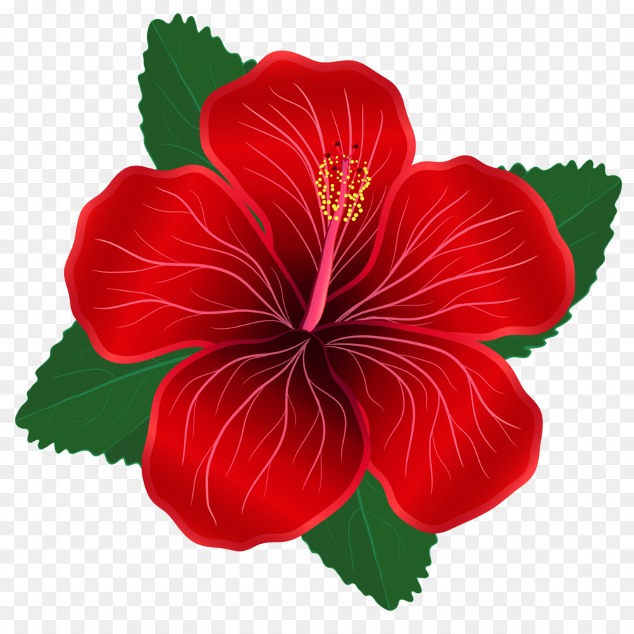 Flower Red Clip art - Red Flowers Cliparts png download - 7395*7300 - Free Transparent Flower png Download.