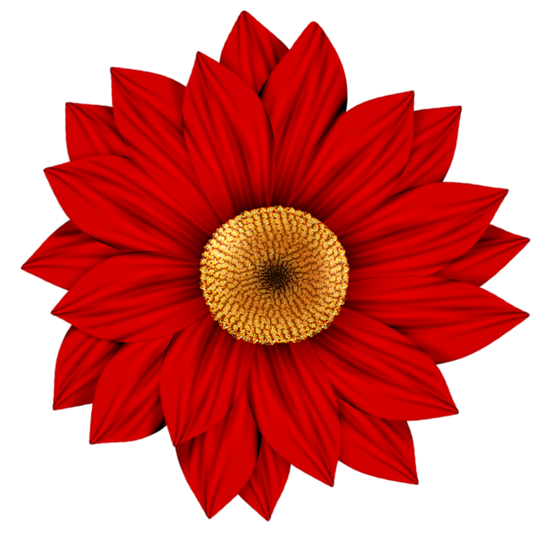 Download Flower Transvaal daisy Drawing Clip art - Red sunflower ...