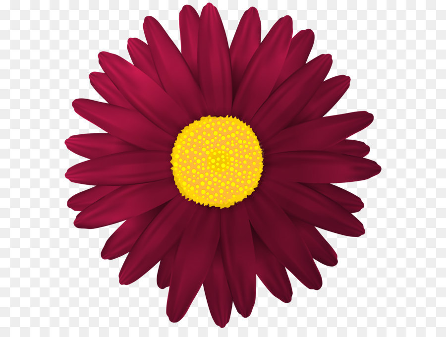 Flower Scalable Vector Graphics - Red Flower Transparent PNG Clip Art Image png download - 4869*5000 - Free Transparent Flower png Download.