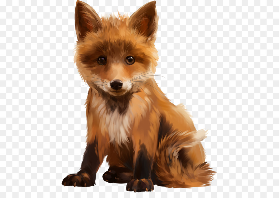 Red fox Watercolor painting - Renard png download - 505*624 - Free Transparent RED Fox png Download.