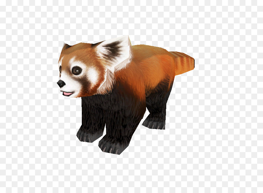 Red panda Bear Giant panda Fur Snout - bear png download - 750*650 - Free Transparent Red Panda png Download.