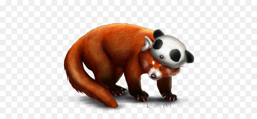 Red panda Giant panda Bear Cat - Red Panda Png Picture png download - 900*581 - Free Transparent Red Panda png Download.