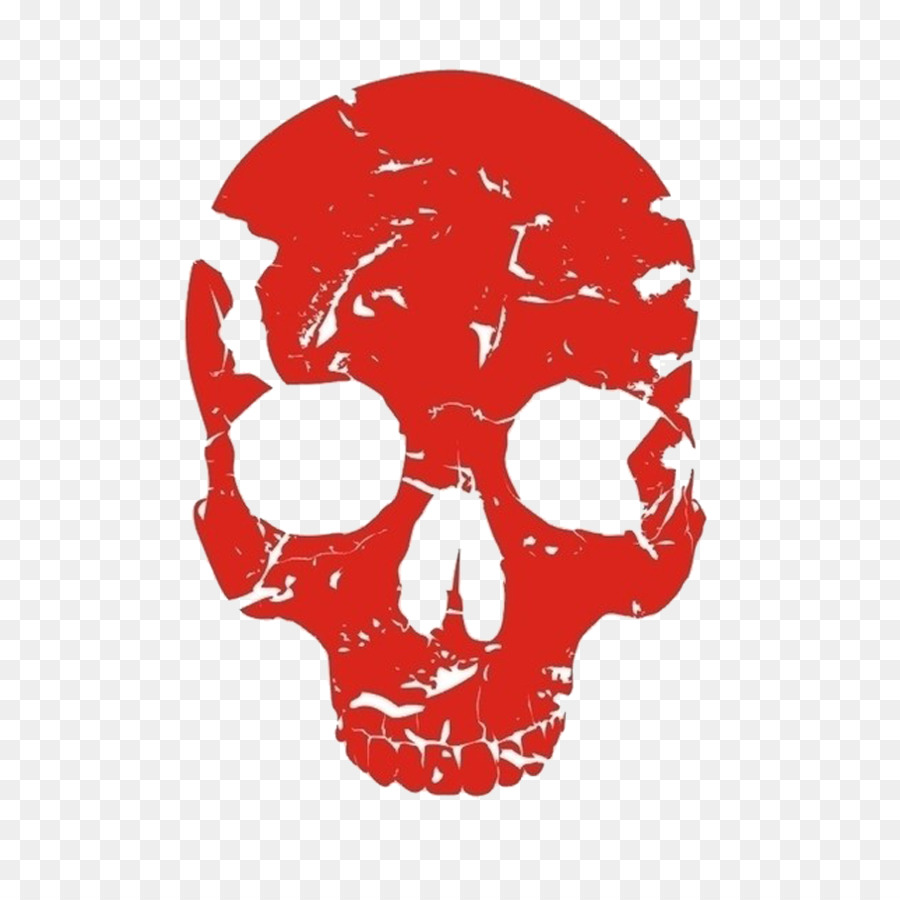 Red Skull Human skeleton Bone - Red Skull png download - 907*907 - Free Transparent Red Skull png Download.
