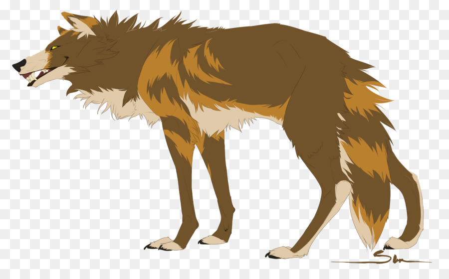 Fox Gray wolf Red wolf - wolf png download - 1484*915 - Free Transparent Fox png Download.