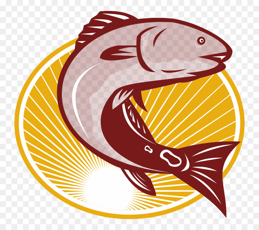Red drum Clip art - others png download - 800*800 - Free Transparent Red Drum png Download.