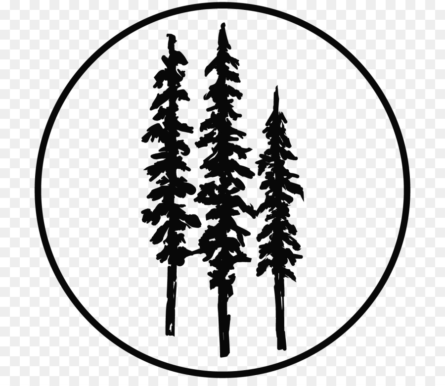 Spruce Redwood National and State Parks Coast redwood Drawing Tree - tree png download - 768*768 - Free Transparent Spruce png Download.