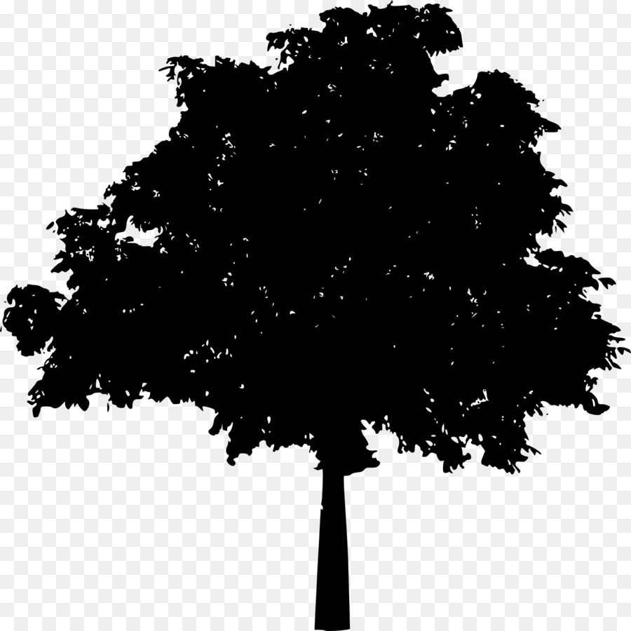 Tree Silhouette Drawing Clip art - tree silhouette png download - 2000*1999 - Free Transparent Tree png Download.