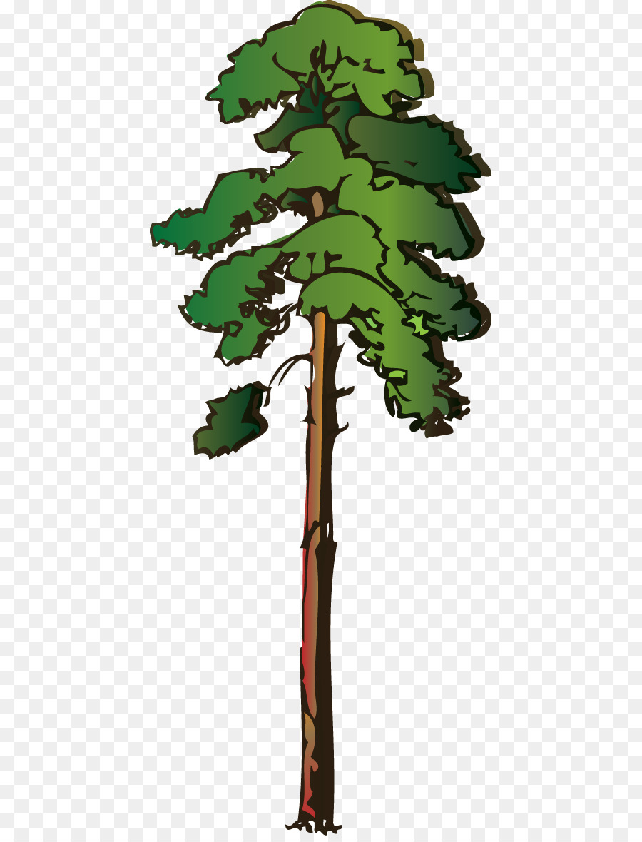 Tree Redwoods Giant sequoia Clip art - Free Redwood Cliparts png download - 479*1171 - Free Transparent Tree png Download.