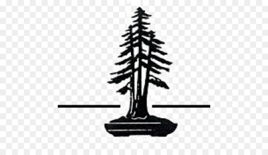 Redwood National and State Parks Coast redwood North Coast Christmas tree - bonsai redwood png download - 512*512 - Free Transparent Redwood National And State Parks png Download.