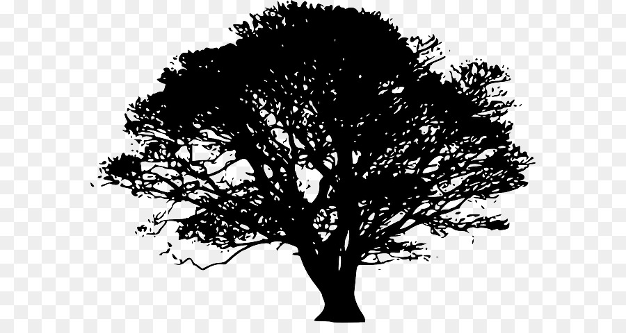 Clip art Vector graphics Tree Portable Network Graphics Image - ink ancient architecture png download - 640*465 - Free Transparent Tree png Download.