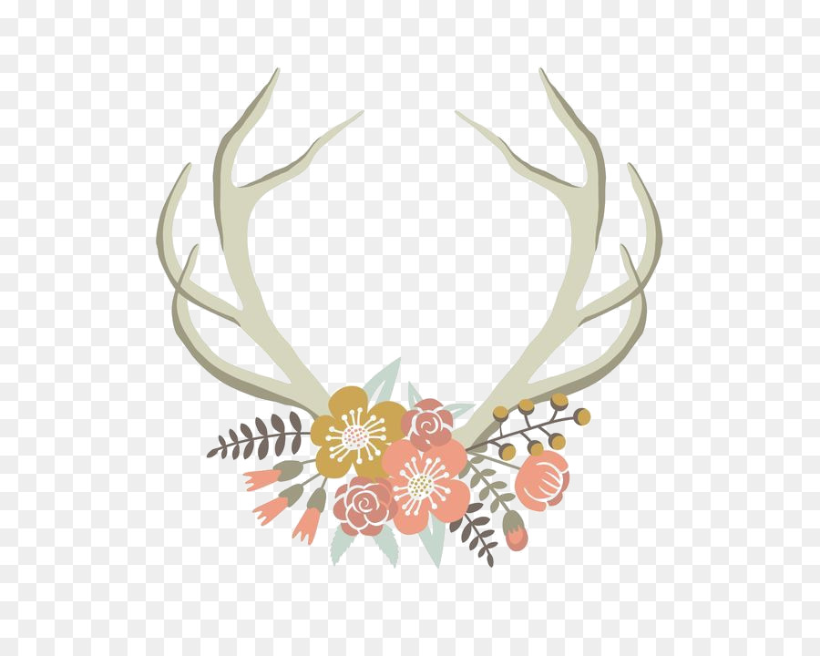 Deer Antler Horn Floral design Clip art - deer png download - 564*705 - Free Transparent Deer png Download.
