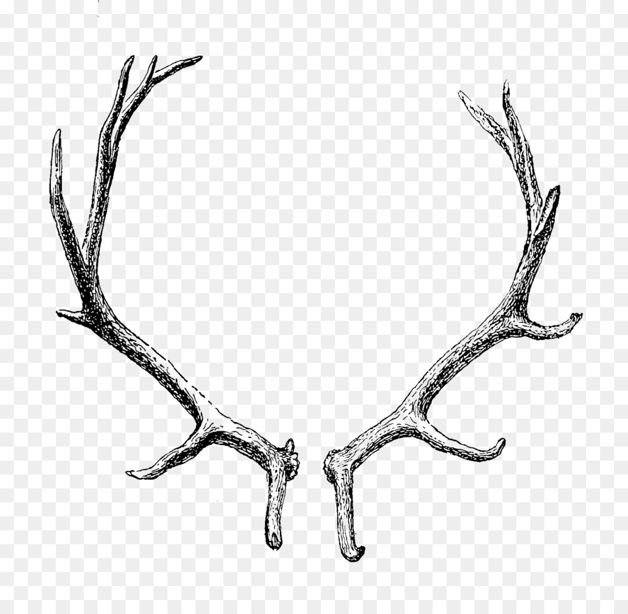 Reindeer Antler Horn Clip art - transparent png download - 1654*1613 - Free Transparent Deer png Download.
