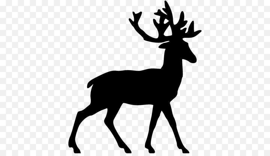 White-tailed deer Reindeer Clip art - Blackdeer png download - 512*512 - Free Transparent Deer png Download.