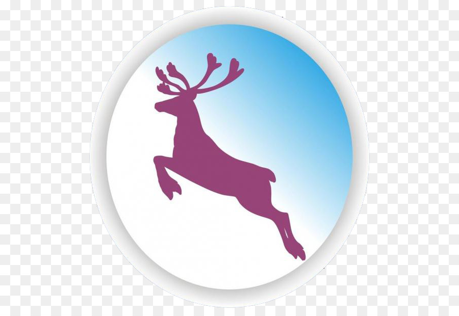 Reindeer - tame,deer png download - 650*613 - Free Transparent Reindeer png Download.