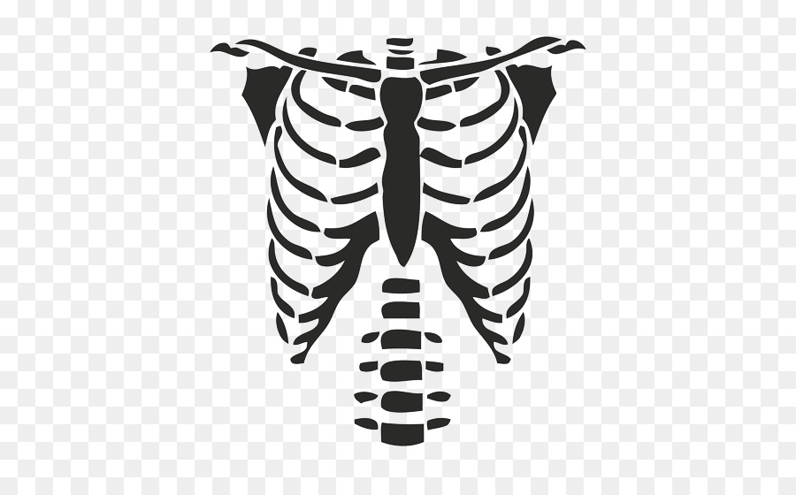 view all Rib Cage Transparent). 
