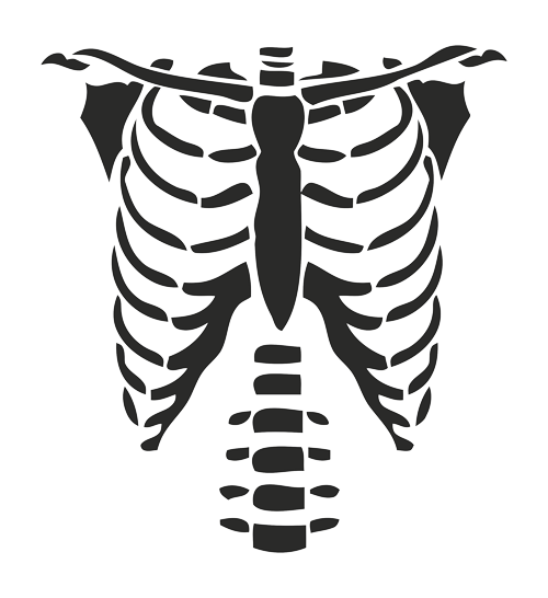 T Shirt Rib Cage Roblox Hoodie T Shirt Png Download 500 546 Free Transparent Tshirt Png Download Clip Art Library