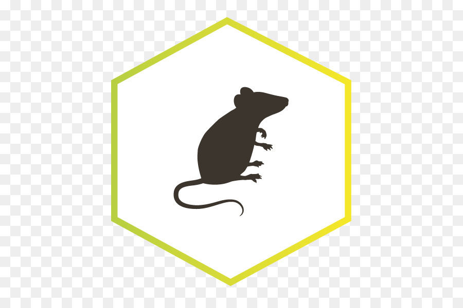 Rat Rodent ??? Silhouette - rat png download - 591*591 - Free Transparent Rat png Download.