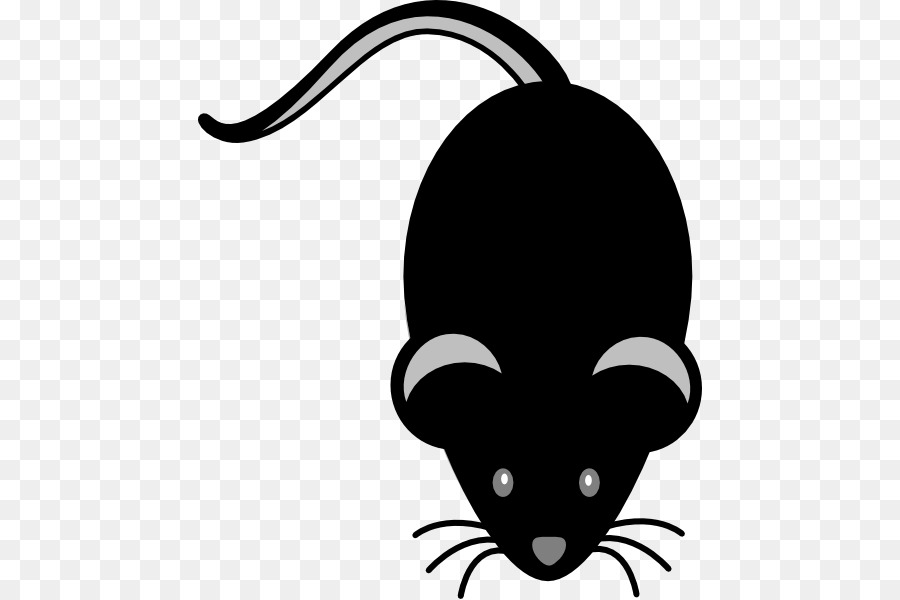 Computer mouse Clip art - mouse png download - 504*599 - Free Transparent Mouse png Download.