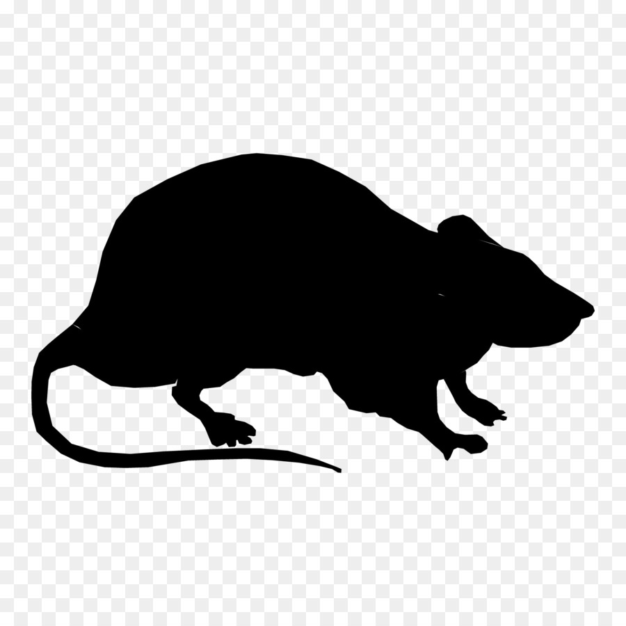 Rat Clip art Vector graphics Image Openclipart - rat png download - 1920*1920 - Free Transparent Rat png Download.