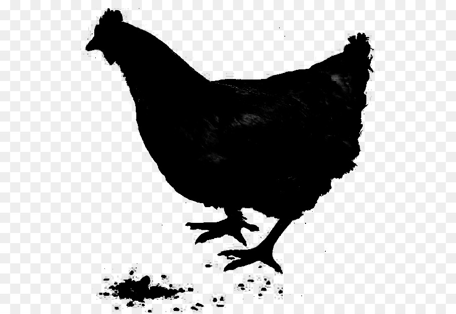 Rooster Chicken as food Fauna Silhouette -  png download - 600*617 - Free Transparent Rooster png Download.