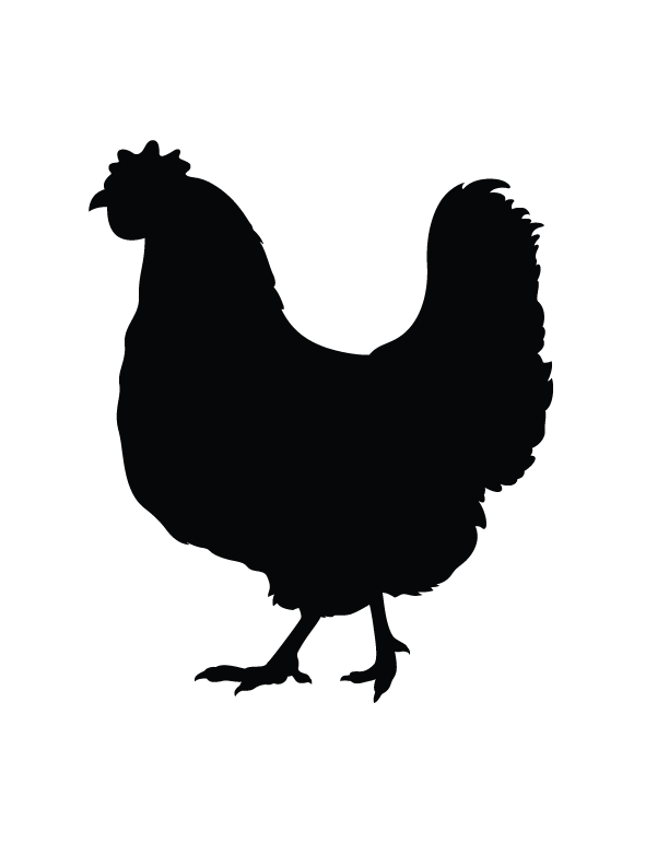Silkie Rooster Silhouette - simple bird png download - 612*792 - Free Transparent Silkie png Download.