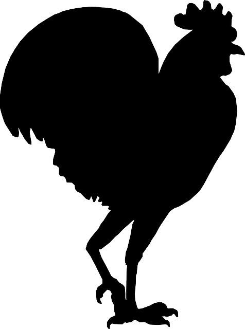 Rooster Silhouette Clip art - Farmer Agriculture png download - 476*640 - Free Transparent Rooster png Download.